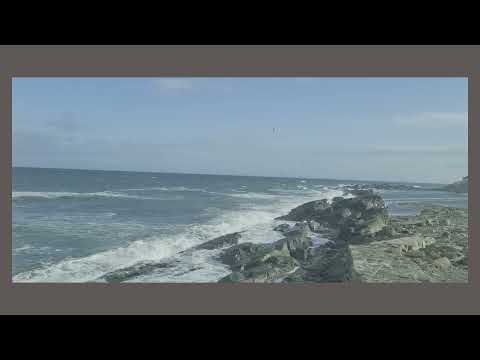 Thumbnail for 08 cousteau by Stuart McDonald