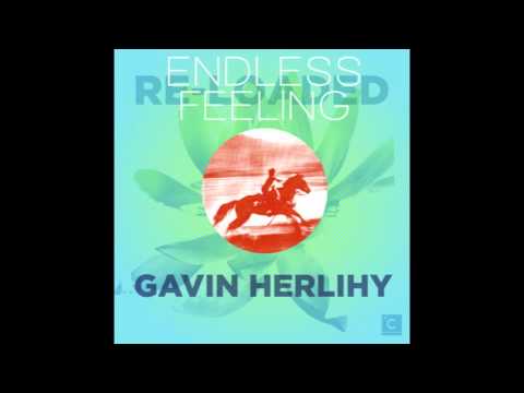 Gavin Herlihy - Endless Feeling (Larse Remix)