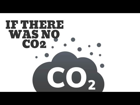 What would happen if there was no CO2 in the air?