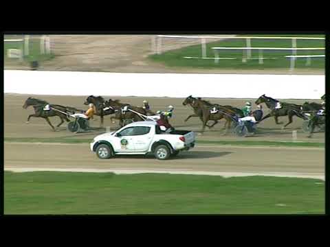 Trotto 06/11/2020 - 2ª corsa