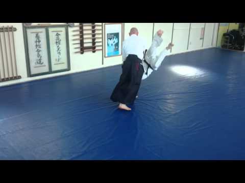 Jay Savery Goshinkan Yoshinkai Aikido