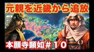【信長の野望新生】本願寺顕如＃１０   近畿に漏れ出す長宗我部元親を追い払え！