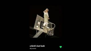 Cover art for A Bird’s Last Look