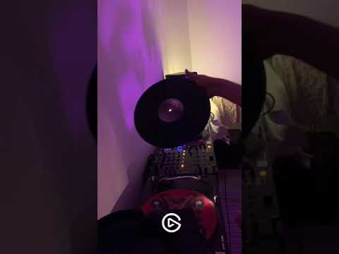 Blez b2b Seldon - Alkotótábor 19. pályázati anyag