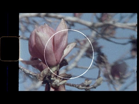 Video thumbnail for Life Is Life