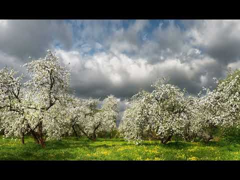 Etasonic Vs. Laucco - The Heaven's Breath (Original Mix)