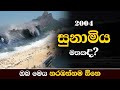 Today Is 18 Years Since Tsunami