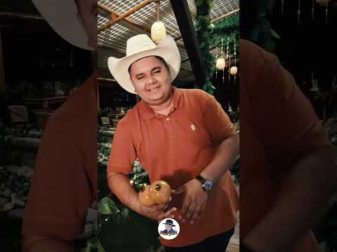 ✨ **¡Lo que no viste del videoclip "Desilusión"!** 🤠🎶