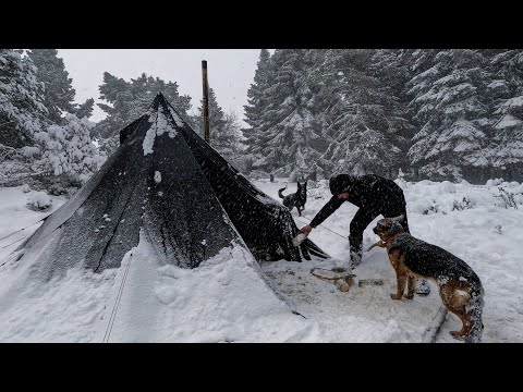 Caught in a Heavy Snowfall - Winter Camping in a Hot Tent, Wood Stove, Cold Weather