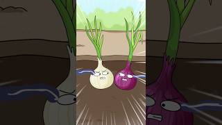 What’s the Difference Between White and Red Onions?