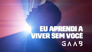 Eu Aprendi A Viver Sem Você Lyrics English Translation
