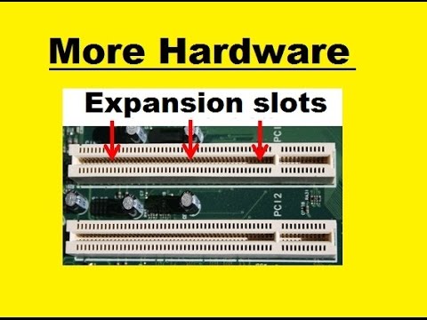 Motherboard expansion slots and cards