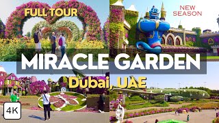 Miracle Garden Dubai! SPECTACULAR Natural Flower Garden - Season 2024 | 4K Walking Tour