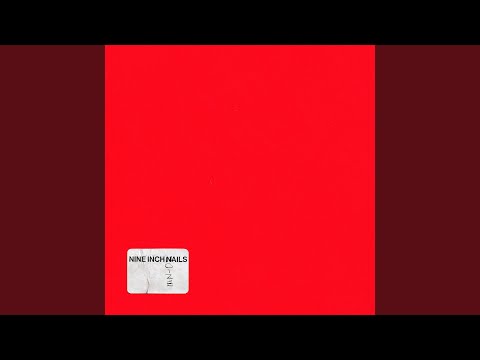 Came Back Haunted (Nine Inch Noize Version)