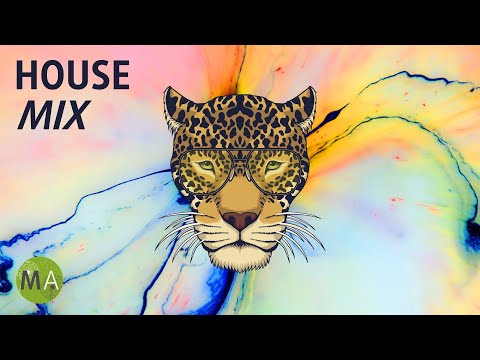 Upbeat Study Music Deep Focus House Mix, Beta Wave Isochronic Tones