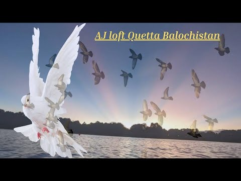 The Unbelievable Story of AJ LOFT in Quetta, Balochistan