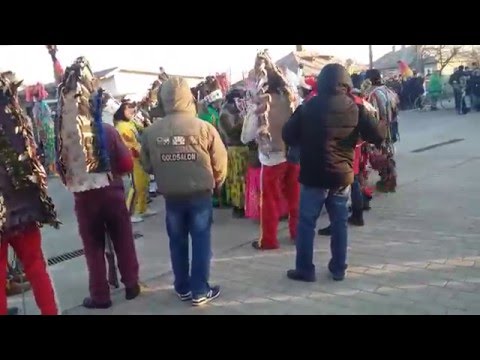 Manzatesti Weenetoo 2015 - 2016