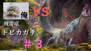 【MHW】初心者ハンターが初期防具でトビカガチに挑む！【モンハンワールド】#3