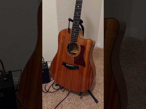 Taylor 320-CE-L10 Fall Limited Edition Solid Koa 2005 image 14