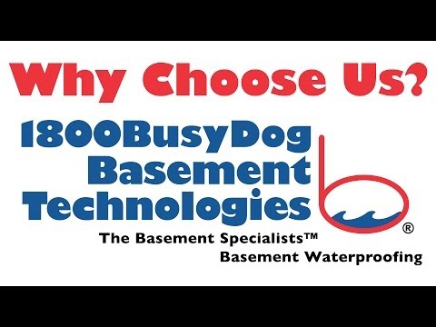 1-800-BUSYDOG Basement Technologies: Fast, Consistent, High Quality Service