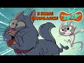 Zip Zip The Birthday Cats 2 Hours Season 1 COMPILATION Cartoon For Kids