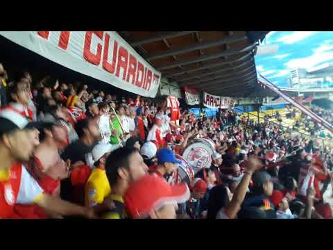 "Antes de ser gallina yo me mato" Barra: La Guardia Albi Roja Sur &bull; Club: Independiente Santa Fe