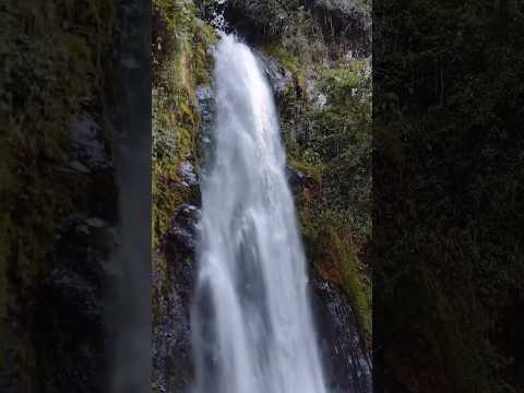 🌄 Murillo, Tolima: La Tierra del Agua y los Frailejones ❄️🏞️