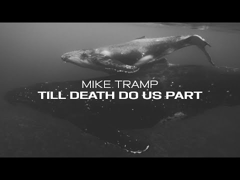 Frontiers Music srl and Mike Tramp