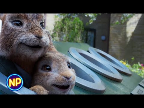Whack-A-Rabbit | Peter Rabbit 2: The Runaway
