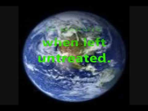 Quotidien Study  ECE 205  2009