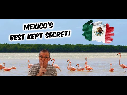 Isla Holbox   Mexico's best kept secret you NEED to visit