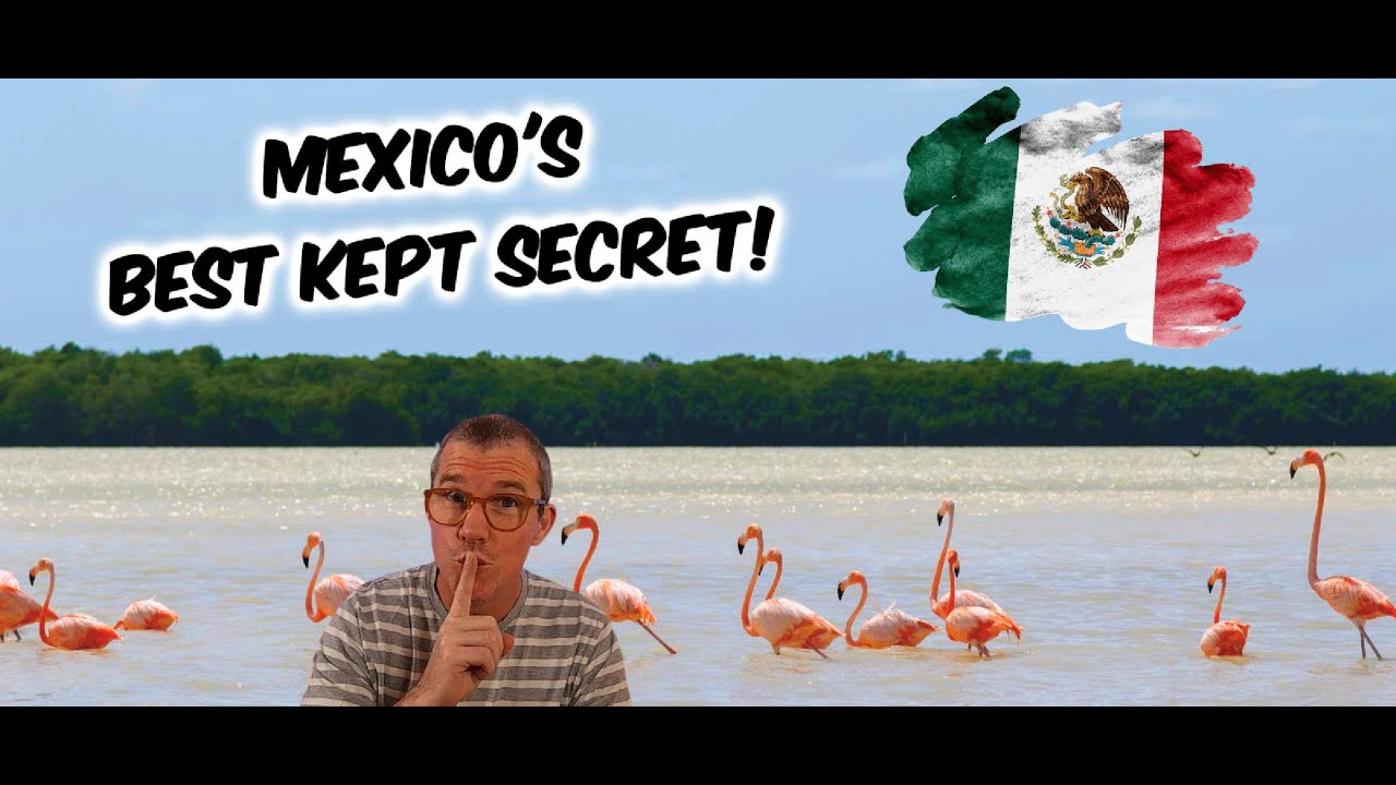 Isla Holbox   Mexico's best kept secret you NEED to visit