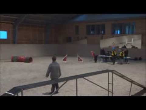 Inoff. Agility Staffanstorp