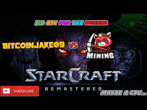 BITCOINJAKE09 CHALLENGED ME TO A 1vs1 IN STARCRAFT...