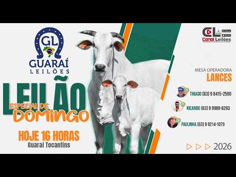 LEILÃO DOMINGO ESPECIAL GUARAÍ LEILÕES | GUARAÍ-TO 18/10/2026