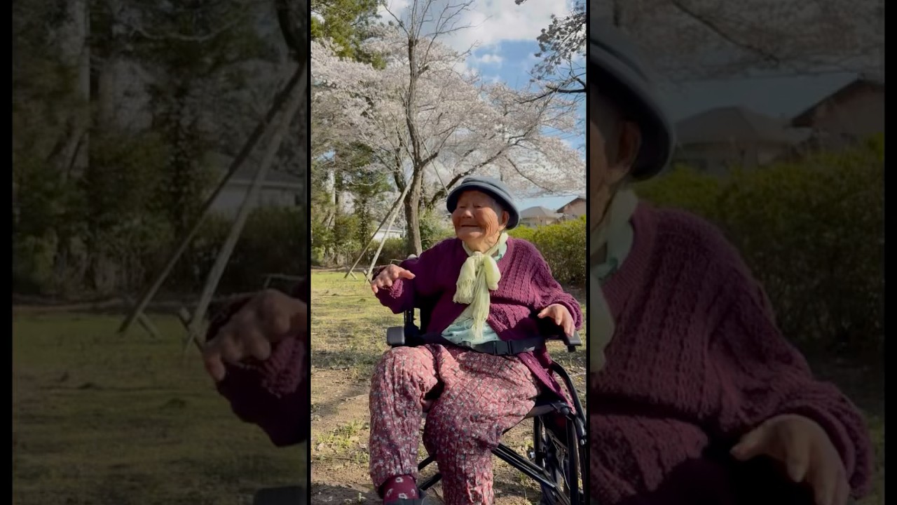 新車へアップグレード #おばあちゃんと猫 #shorts