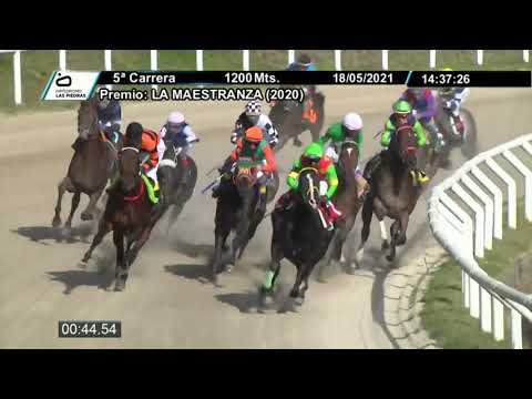 210518 c05 - HADES OF GREECE - HIPODROMO LAS PIEDRAS