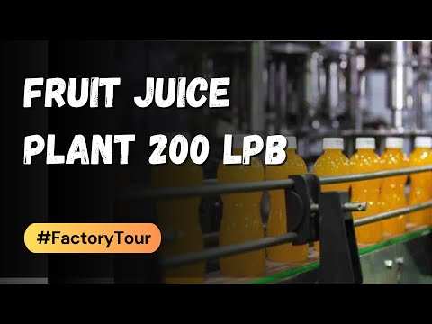 Natural Fruit Juice Plant