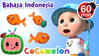 Download lagu Tangkap Ikan bersama Bayi JJ! 🐟🐠 | CoComelon Bahasa Indonesia - Lagu Anak Anak | Nursery Rhymes mp3