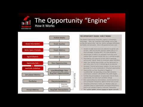 RedBird Stock Analysis Tool (Detailed Product Presentation)