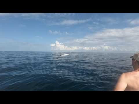 7/17/20 Dives on the Atlas & the Caribsea