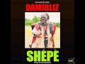 Damibliz SHEPE