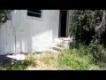 abandon house on the manatee river- jon swift adventures