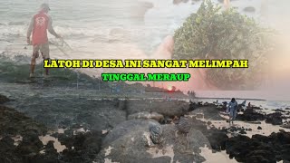 Download lagu Mencari latoh dan keong laut serta pasang perangkap kepiting di laut yang sedang surut mp3