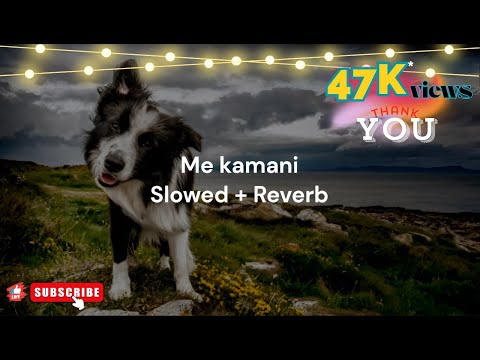 Me kamani (මේ කමණි) | (Gayan Sankamadhu) | ( Sinhala Song = Slowed + Reverb ).!