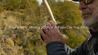 When do you put a fish on the reel?