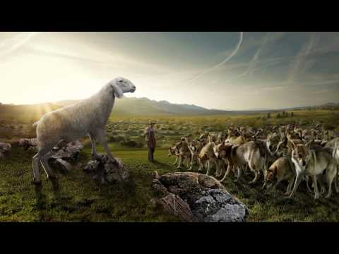 Slytrance - Lalaland