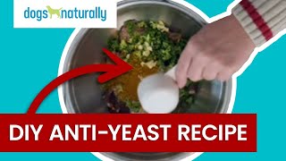 Yeasty Dog? Try This DIY Yeast Diet For Dogs