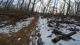 Download lagu Green belt park house GOPR9356 mp3 Download lagu Green belt park house GOPR9356 mp3