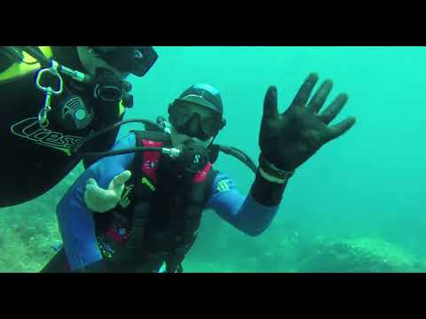 Dimensione H2O asd Immersioni didattiche presso Isola del Tino e le Rosse del 24 e 26/6 e 3/7/2022